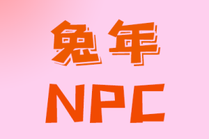 兔年npc